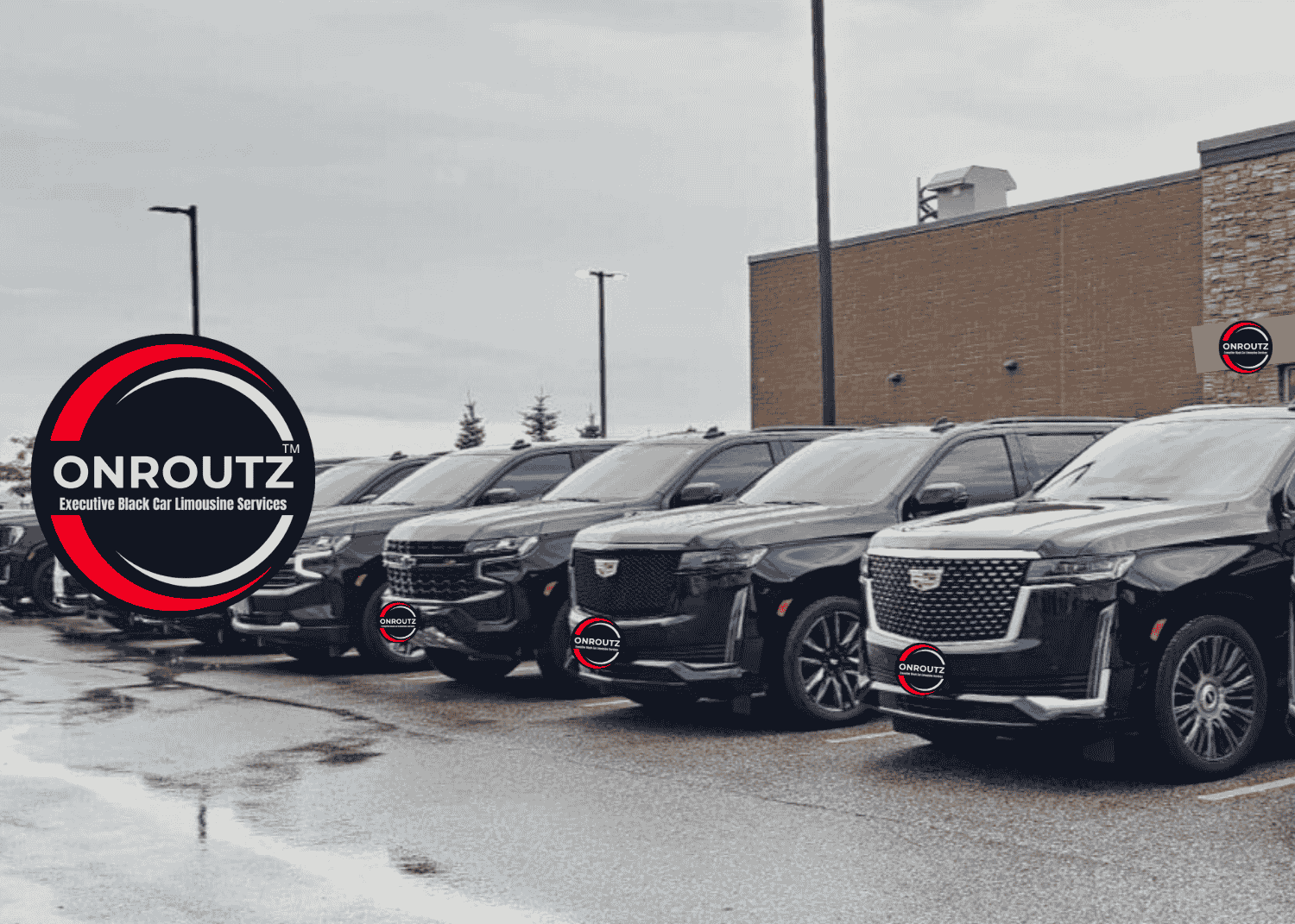 images of our services